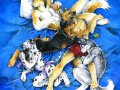 c_1232006721639_hbruton_mpuppy_pile.jpg